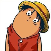 geniusyork