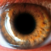 CX15